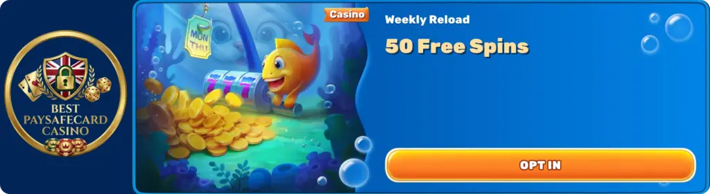 Weekly Promotion Spin Fin 